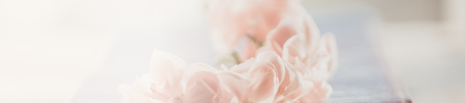 Närbild av mjuka rosa blommor med oskarp bakgrund.